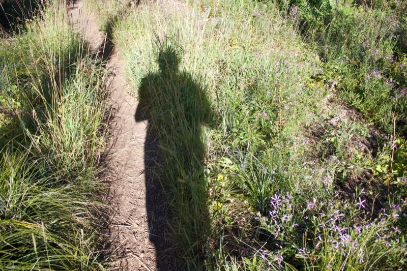 Shadow on Grassy Hiking Trail