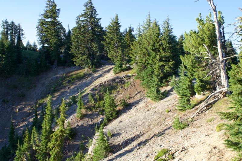 Forest Slope With Bare Hillside