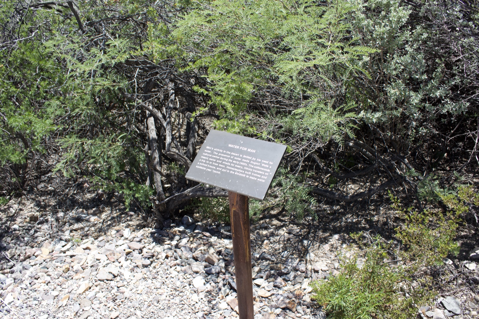 Desert Trail Interpretive Sign Among Shrubs