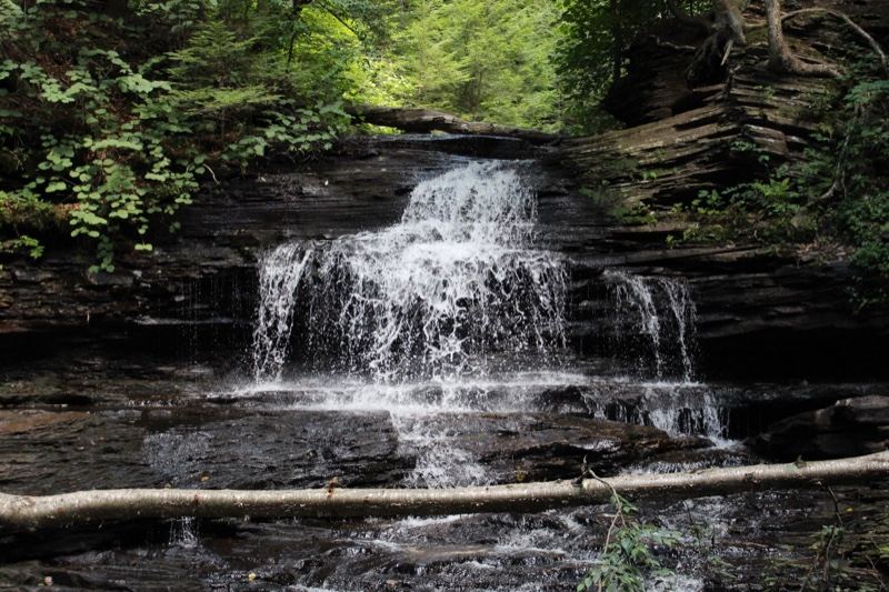 Forest Waterfall Cascading Over Rocks
