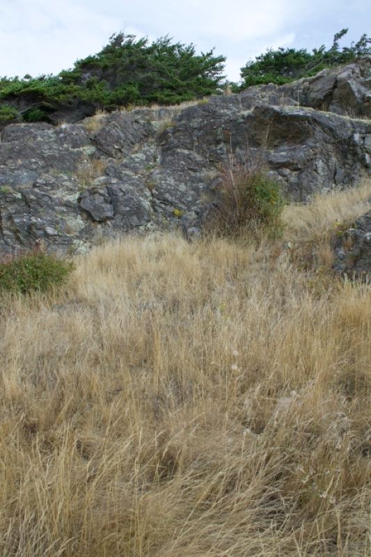 Rocky Hillside with Dry Grass