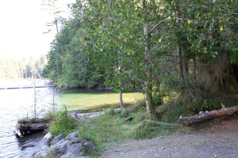 Lakeside Forest Shoreline Path