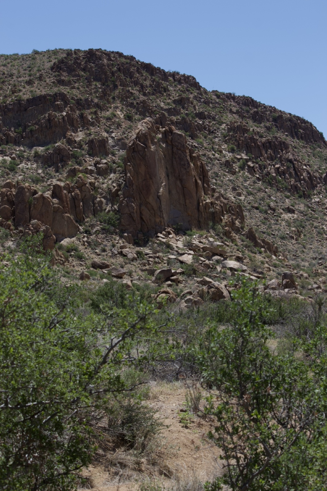 Rocky Hill With Desert Vegetation