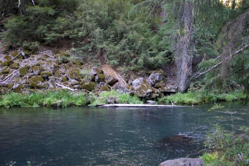 River in Forested Mountain Gorge