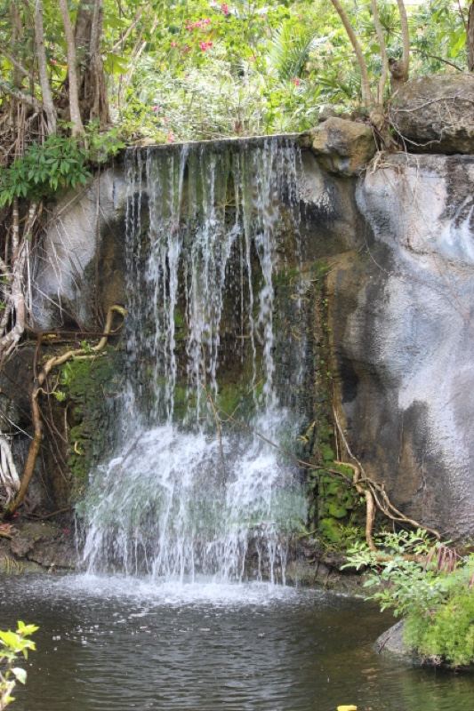 Tropical Waterfall Cascading Into Pool