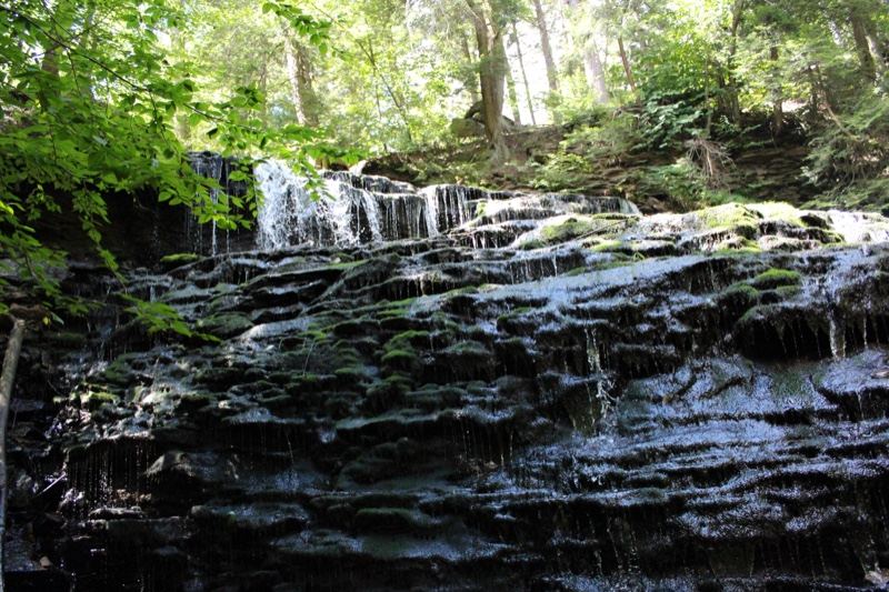 Forest Waterfall Cascading Over Rocks
