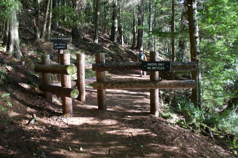 Forest Trail Entrance With Wooden Gate