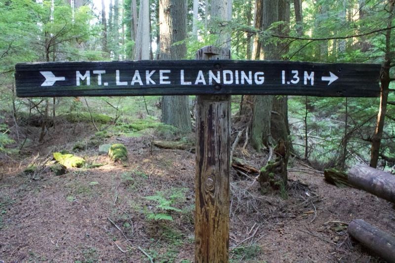 Mt Lake Landing Trail Sign in Forest