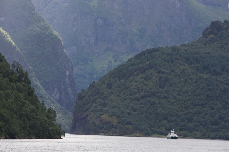 Fjord with forested mountains and boat