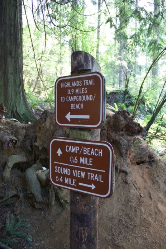Forest Trail Signs to Camp Beach