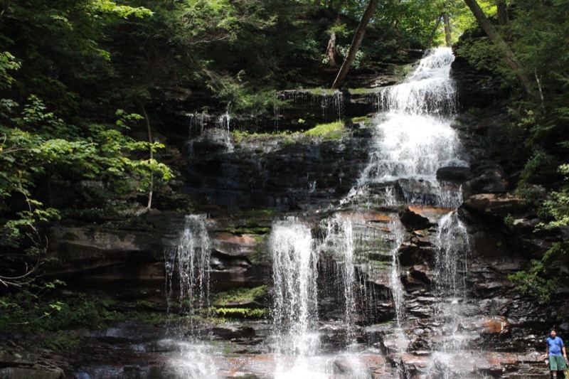 Forest Waterfall Cascading Down Rocks