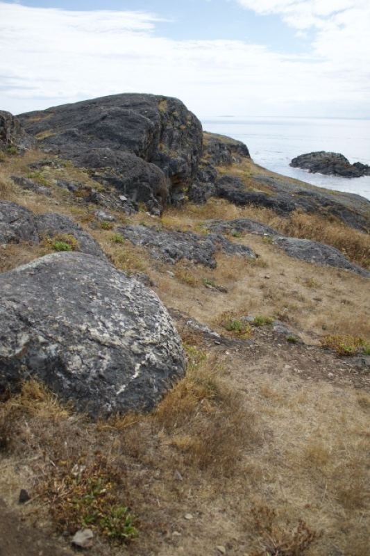 Rocky Coastal Grassland Overlooking Sea