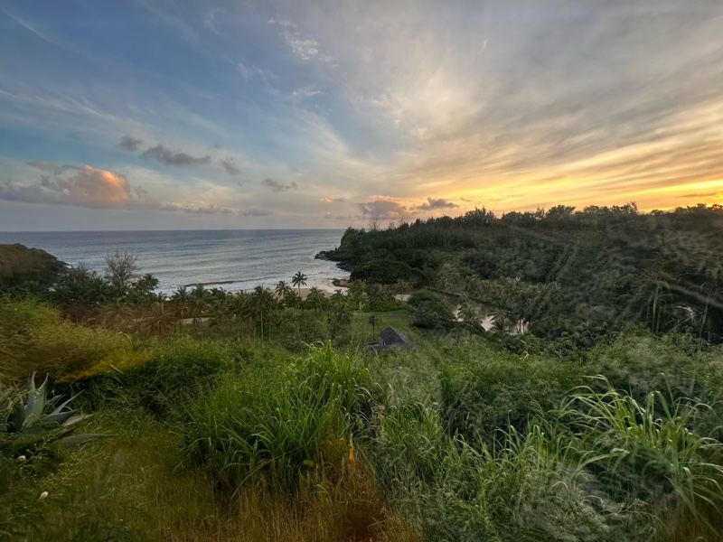 Coastal Sunset Over Lush Hillside