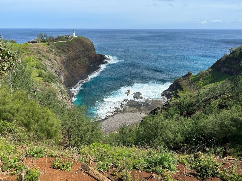 Coastal Cliff Overlooking Pacific Ocean