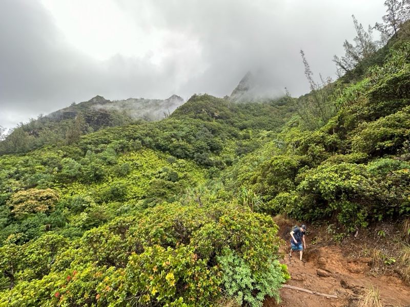 Hiker on Misty Mountain Trail