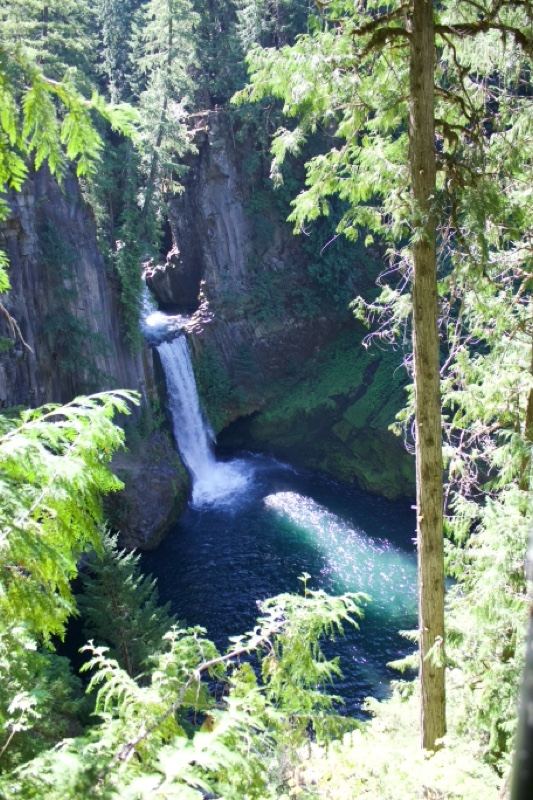 Forest View of Waterfall in Canyon