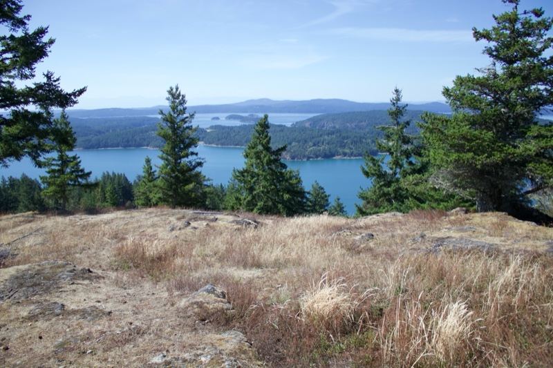 Overlook of Lake from Grassy Ridge