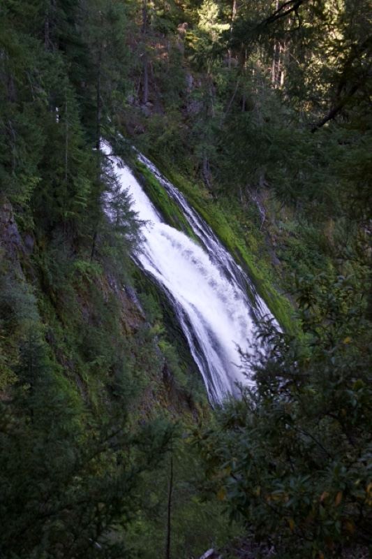 Forest Waterfall Cascading Down Cliff