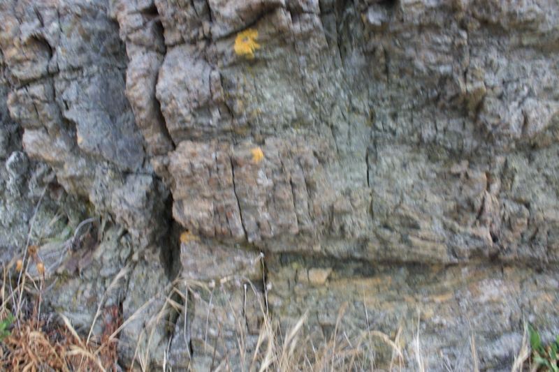 Rough Gray Rock Face Close Up
