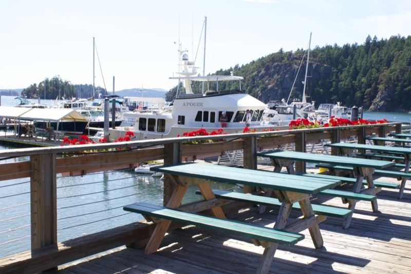 Marina Dock with Picnic Tables