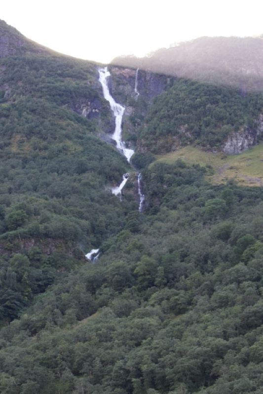 Mountain Waterfall Cascading Down Forest