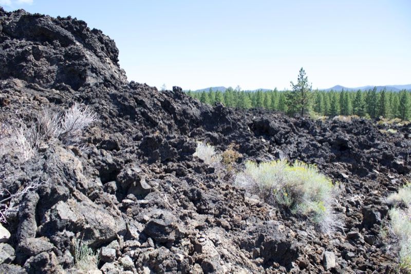 Volcanic Lava Field with Forest Background
