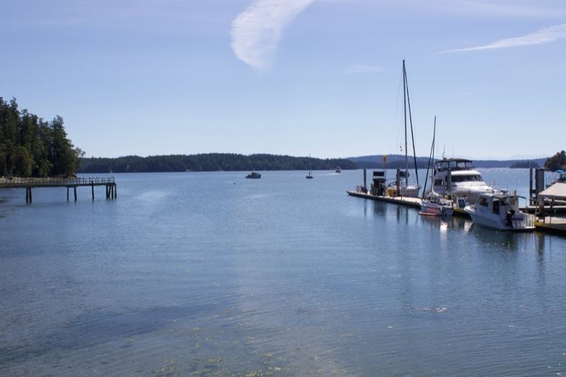 Coastal Marina with Sailboats on Calm Bay