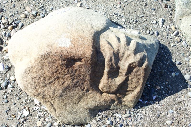 Weathered rock with hand-like impression