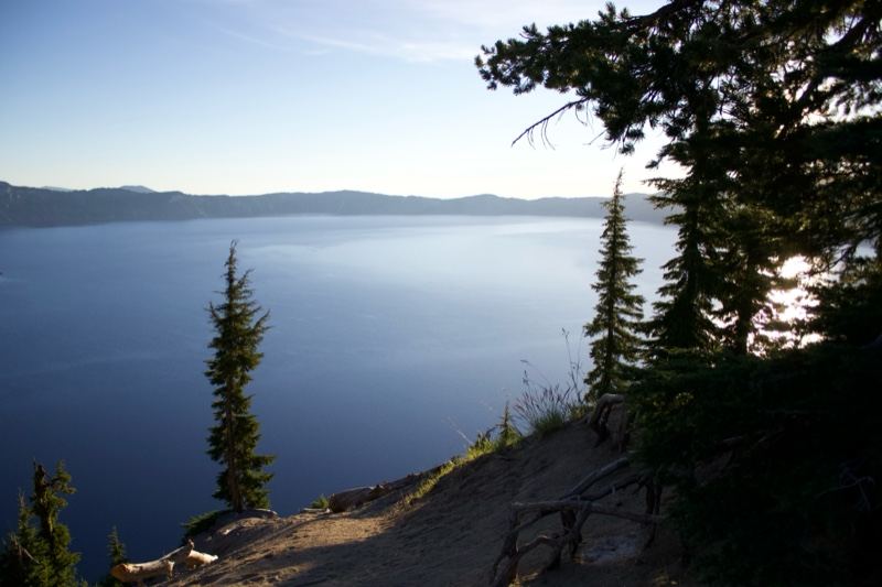 Lake Overlook with Pine Trees