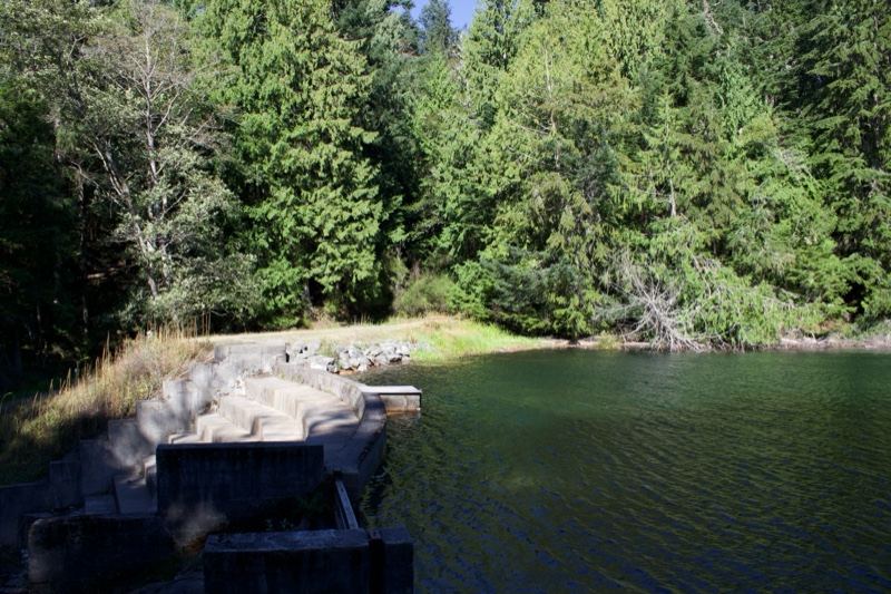 Forest Pond With Concrete Spillway