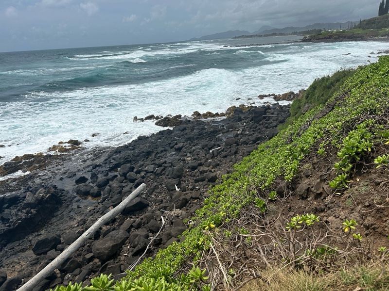 Rugged Rocky Coastline With Ocean Waves
