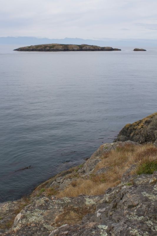 Remote Island in Calm Coastal Waters