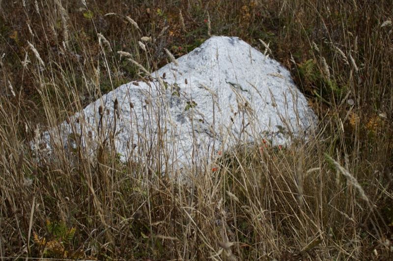 White Boulder in Tall Dry Grass
