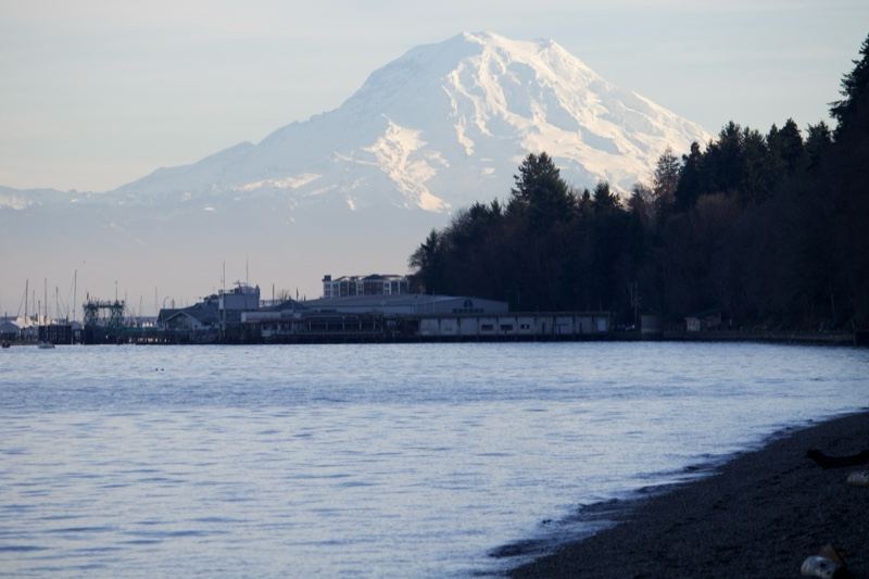 Mount Rainier over Puget Sound shoreline
