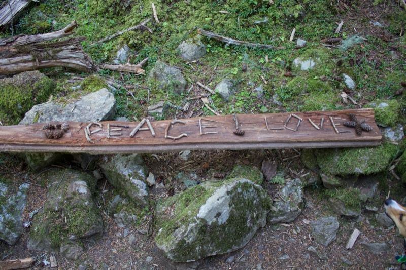 Peace Love Wood Plank on Mossy Ground