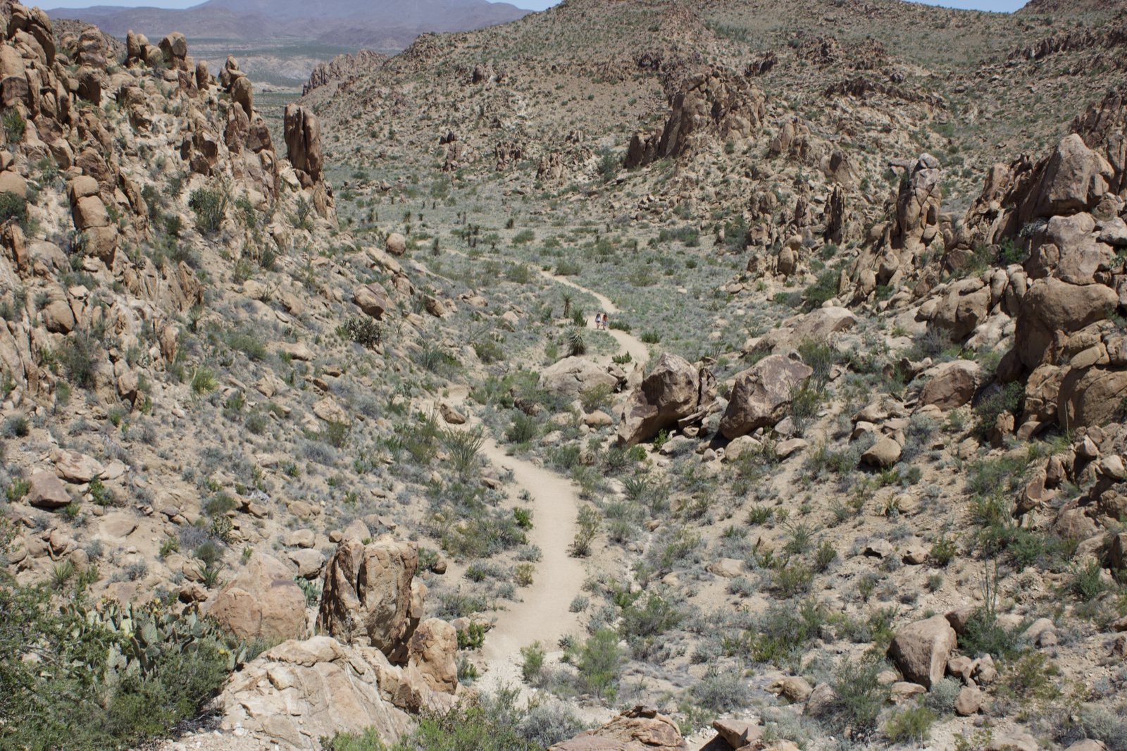 Desert Canyon Dirt Road View