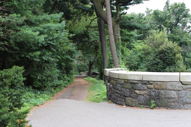 Tree-Lined Park Path With Stone Wall