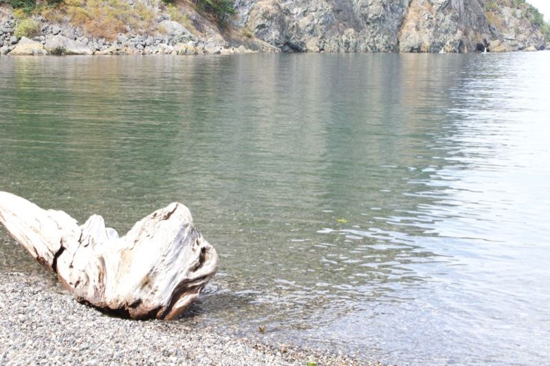 Driftwood on Pebble Shore by Calm Water
