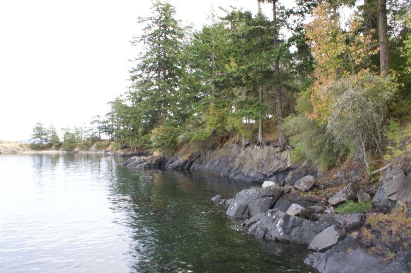 Rocky Shoreline With Forest And Calm Water