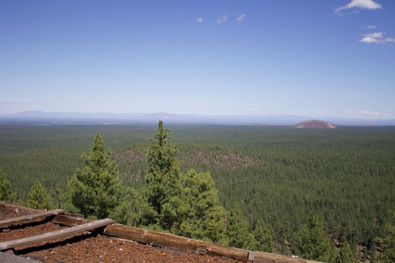 Forest Overlook With Distant Mountain