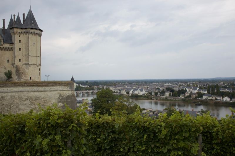 Château overlooking river town