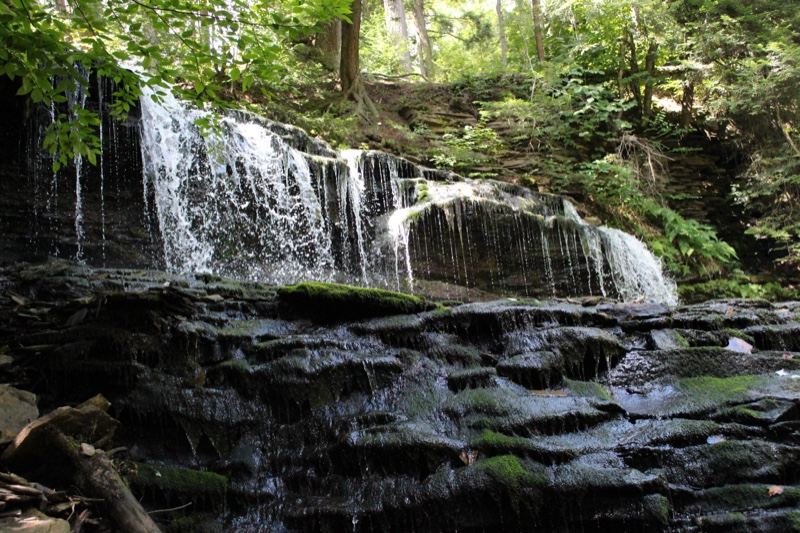 Forest Waterfall Cascading Over Rocks