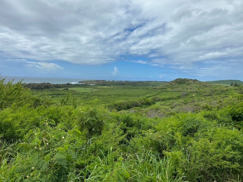 Lush Green Valley Under Cloudy Sky