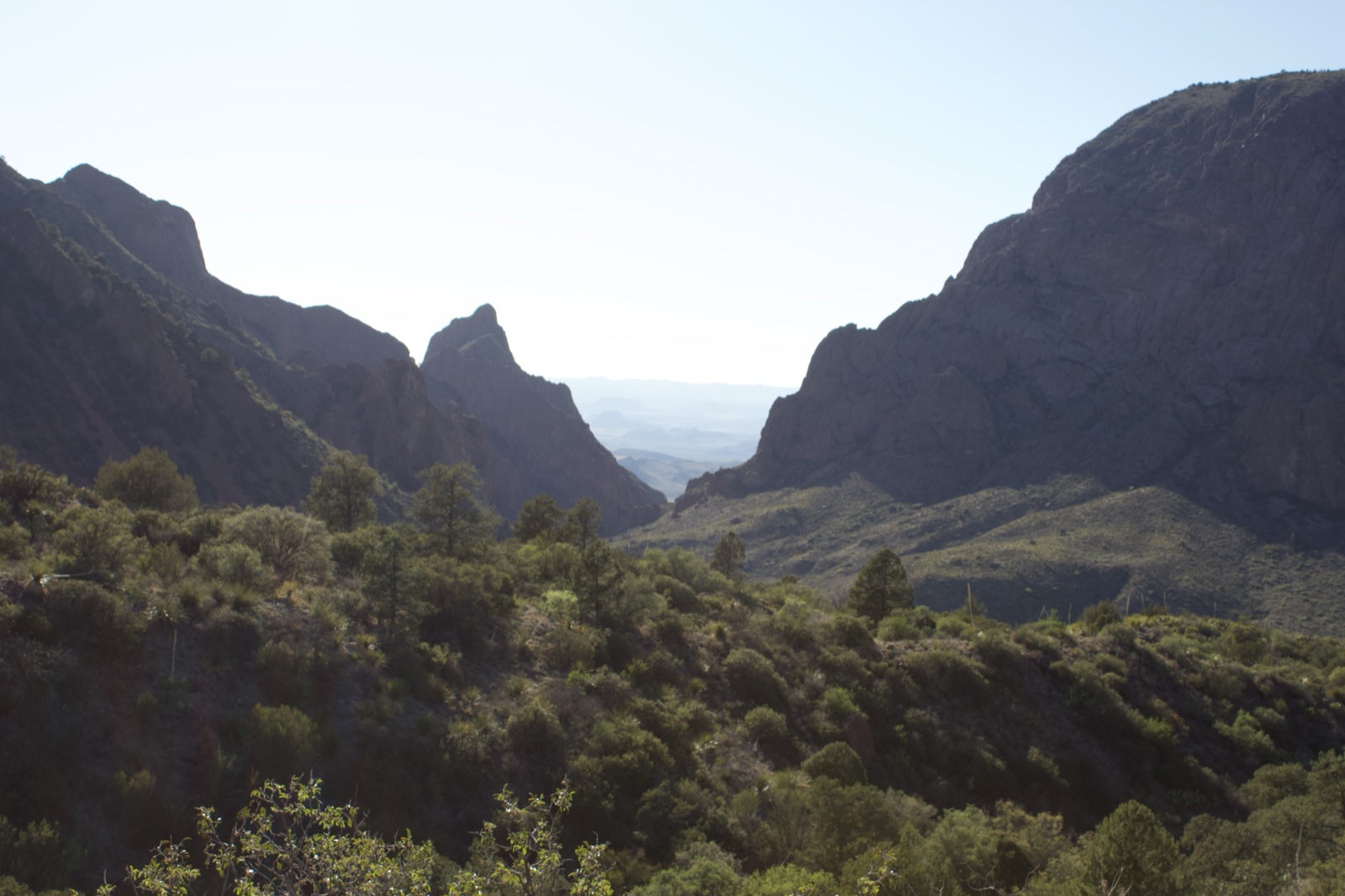 Desert Canyon Mountain Vista