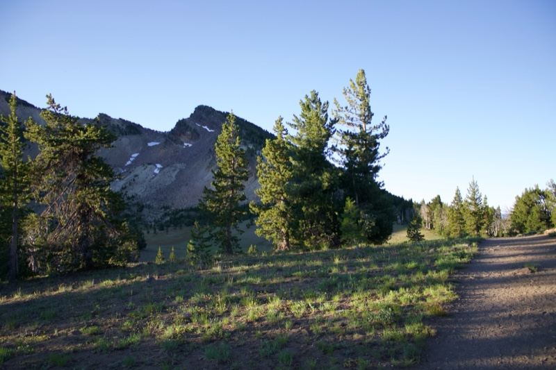 Mountain Trail Through Pine Forest