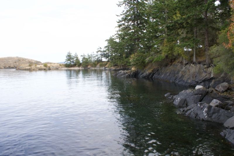 Rocky Shoreline with Forest and Calm Water