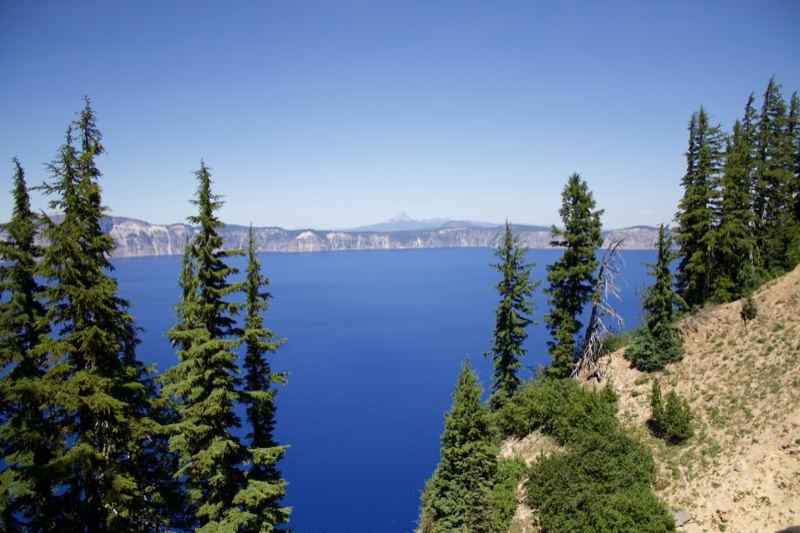 Crater Lake Vista with Evergreen Trees