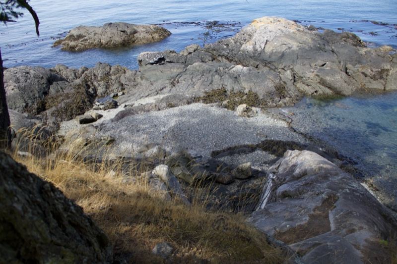 Rocky Coastal Shoreline With Ocean