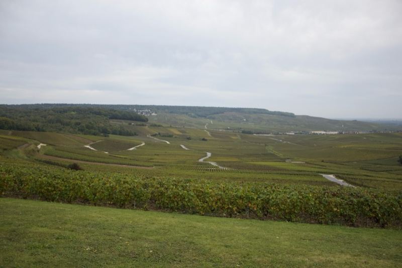 Overcast Rolling Green Valley Landscape