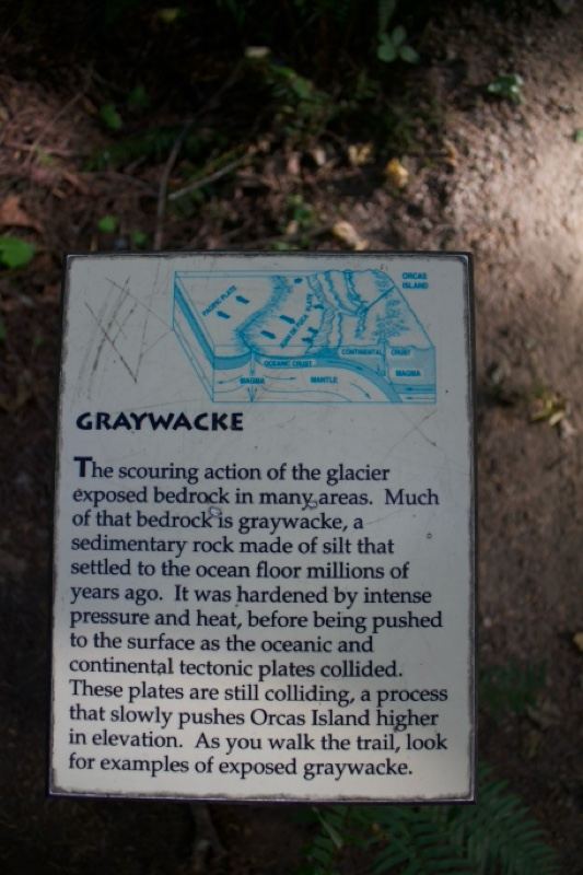 Graywacke Trail Interpretive Sign